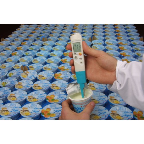testo 206 pH2 - pH meter for semi solids