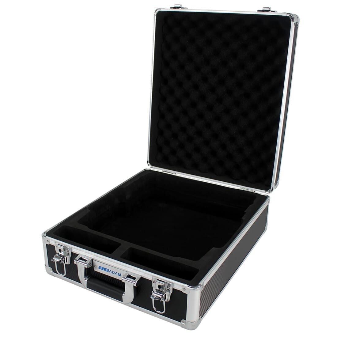 Hard carrying case with lock
