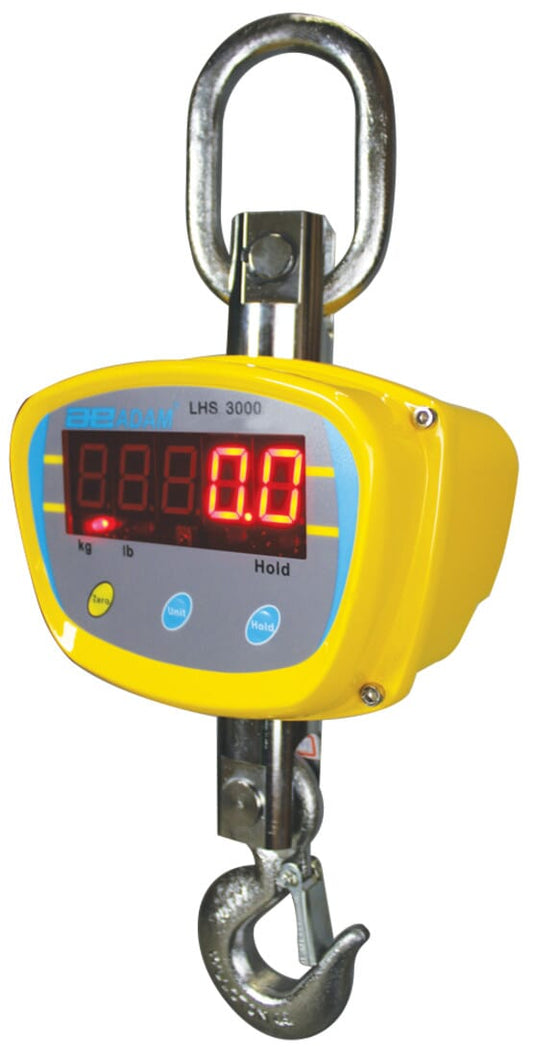 LHS Crane Scales
