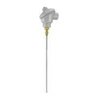Series TTW Weatherproof Immersion Temperature Transmitter